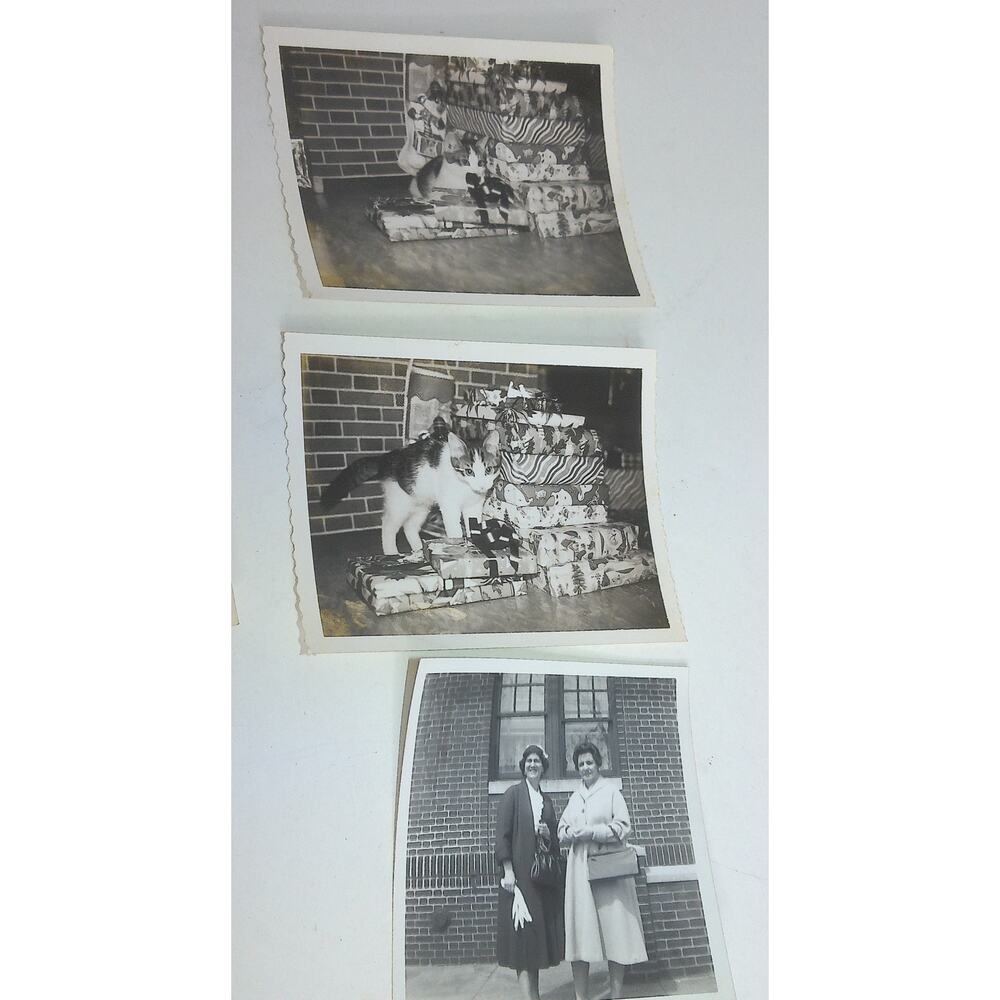 Vintage B&W Photographs 1930s-50s Military Animals Cars Life History 100+ - Picture 12 of 12